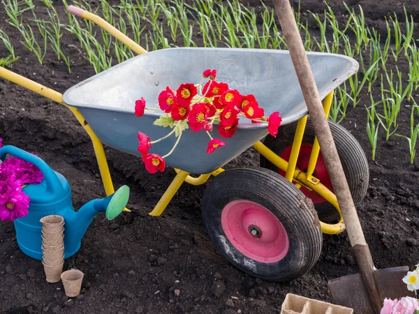 Садовые и садовые инструменты в саду. Садовый автомобиль — стоковое фото