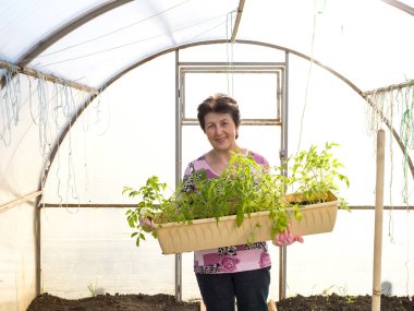 Elinde domates fidesi olan mutlu bir kadının portresi