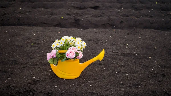 Garden tools. Yellow watering can with flowers — Stock Photo, Image