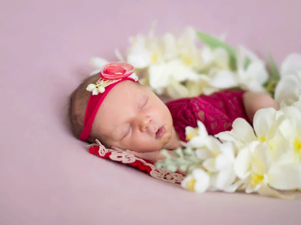 Portrait of a beautiful newborn girl with a red headband — Stock Photo, Image