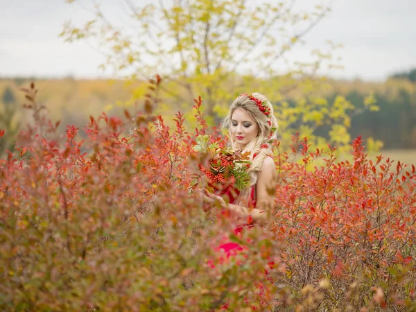 Young woman with hairstyle t mountain ash bouquet in hands on an autumn day in nature — Stock Photo, Image