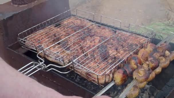 Carne grigliata su carboni, grigliata saporita succosa su spiedi. spiedini shish su spiedini sopra braciere carbone all'aperto . — Video Stock