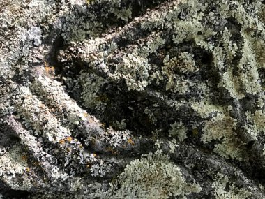 eski taş, doku ve soyut arkaplan