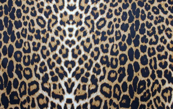 Denim Fabric Texture Background Stock Photo