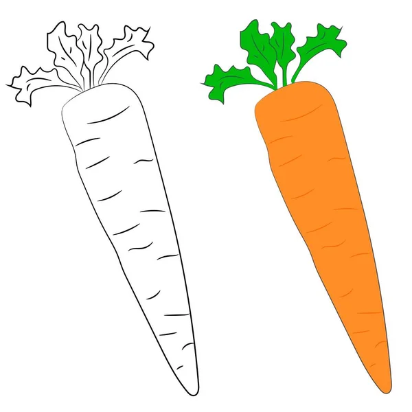 Ilustración Vectorial Diseño Plano Zanahorias Blanco Negro Color — Vector de stock