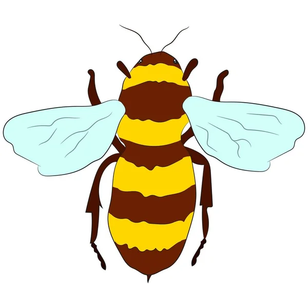 Vector Graphics Colored Bee Flat Design — Stock Vector