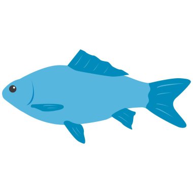 Vektör çizimi, beyaz arka planda izole edilmiş balık. Basit düz biçim.