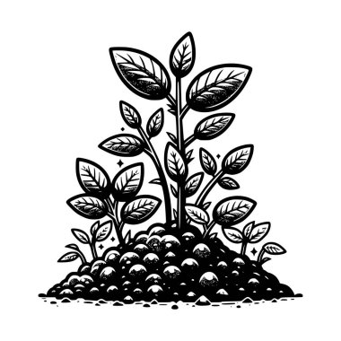 Topraktan filizlenen bir karikatür bitkisinin siyah-beyaz çizimi büyümeyi, doğayı ve yeni başlangıçları sembolize ediyor. Çevre temalı tasarımlar, sürdürülebilirlik projeleri ve botanik sanat çalışmaları için mükemmel.