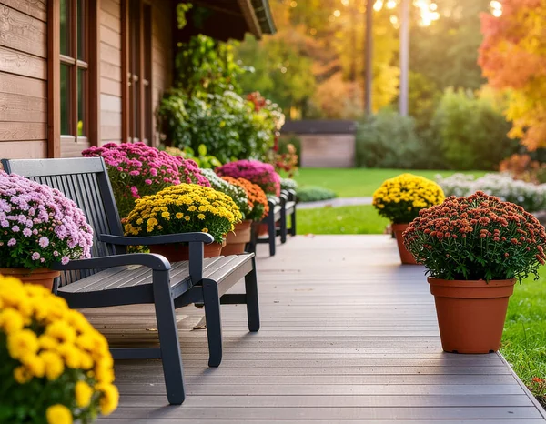Sonbahar sezonu için canlı kasımpatılarla süslenmiş güzel bir sundurma. Ahşap bir bank ve güvertesi olan samimi ve hoş bir sonbahar sahnesi.