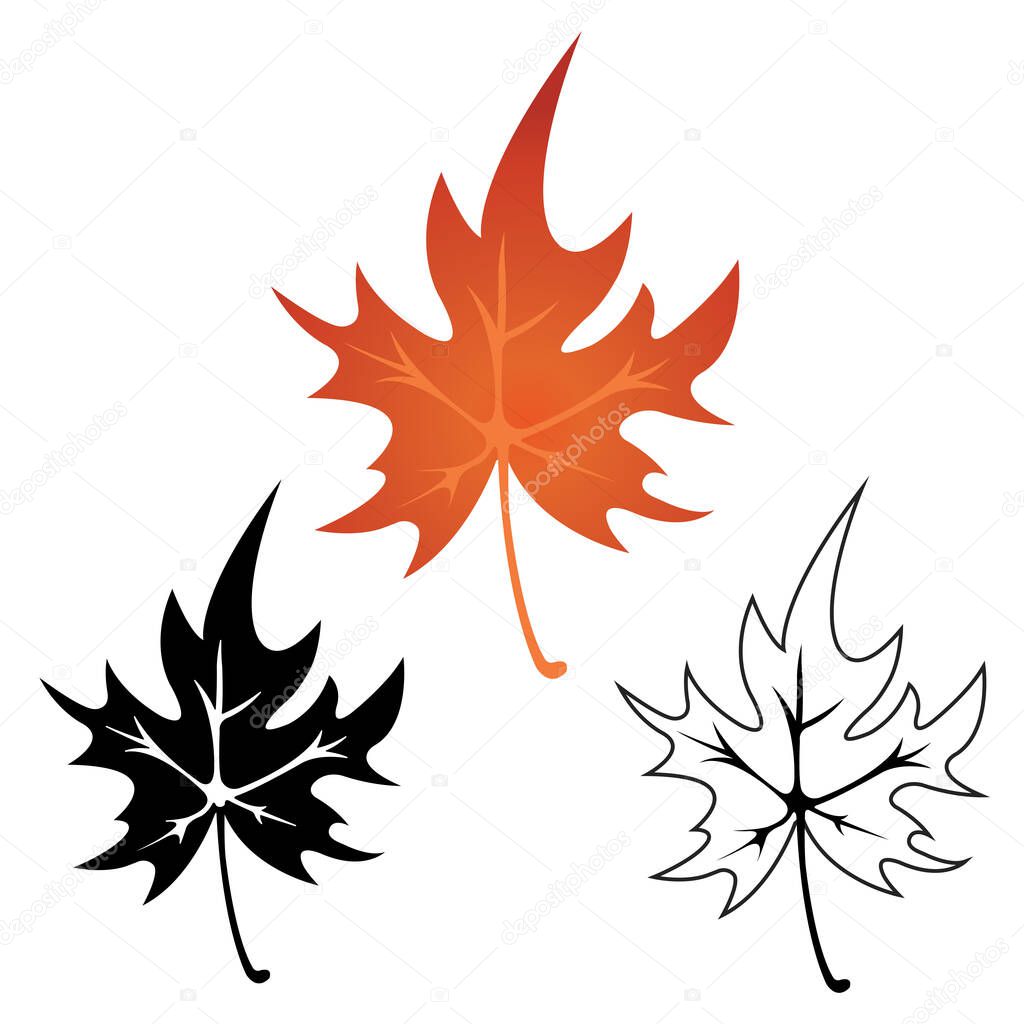Different style realistick autumn color leaf or Maple brown leaf set