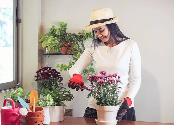 Mulher Asiática Bonita Cuidando Planta Mesa Madeira Interior Cortando Folhas — Fotografia de Stock