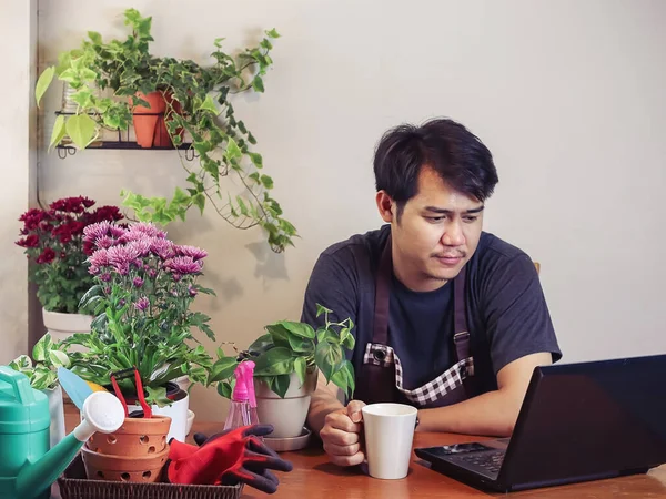 Красивый Азиатский Садовник Пьет Кофе Работает Компьютером Ноутбук Деревянным Столом — стоковое фото