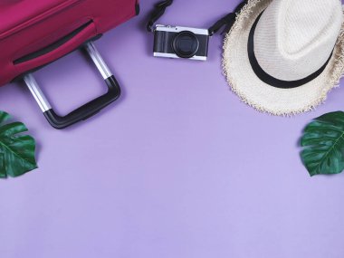Seyahat konsepti. Üst ya da düz kamera şapkası ve pembe bavul mor arka planda tropikal canavar yapraklarıyla süslenmiş..