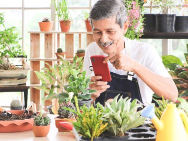 Yaşlılar yaşam tarzı ve bahçıvanlık kavramı. Aktif Asyalı yaşlı bahçıvan, kapalı bir fabrikada oturuyor, önlük takıyor, bitkisinin fotoğrafını cep telefonuyla çekiyor ve mutlu bir şekilde gülümsüyor..