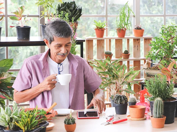 Yaşlılar yaşam tarzı ve küçük işletme kavramı. Aktif Asyalı yaşlı bir adam ev bitkileri ve bahçe aletleriyle masada oturuyor, kahve içiyor ve tabletten online iş siparişlerini kontrol ediyor ve gülümsüyor..