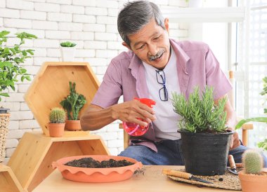Mutlu Asyalı son sınıf öğrencisi, evde bitki saksılarıyla oturuyor, ev bitkileriyle ilgileniyor, ona su sıkarken mutlu bir şekilde gülümsüyor. Bahçe işleri ve yaşlılar yaşam tarzı kavramı..