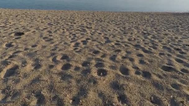 Фоновый Песок Прокладывает Тропы Вдоль Берега Реки — стоковое видео
