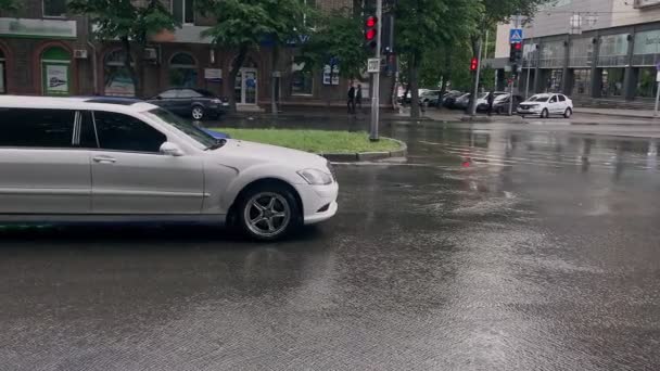 Large Puddles Rain Drops Form Circles Water — Stock Video