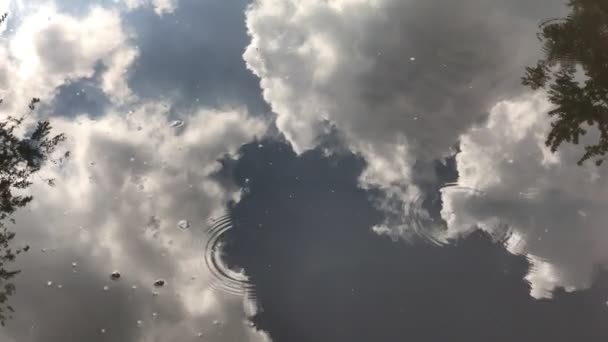 grandes flaques après la pluie, gouttes forment des cercles sur l'eau 