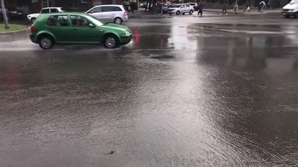 Большие Лужи После Дождя Капли Образуют Круги Воде — стоковое видео