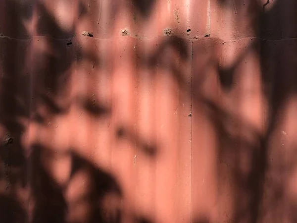 木の枝からの堅い影を持つ赤スレートの背景色のフェンス — ストック写真