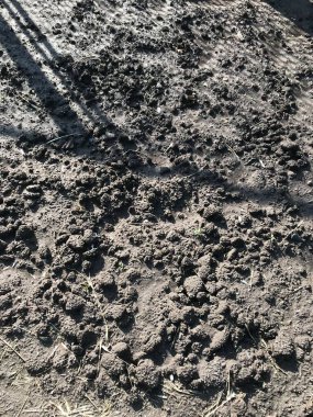 arkaplan yağmur sonrası kara toprak dokusu.