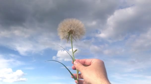 Das Auto Fliegt Mit Hoher Geschwindigkeit Eine Riesige Wasserpfütze Spritzer — Stockvideo