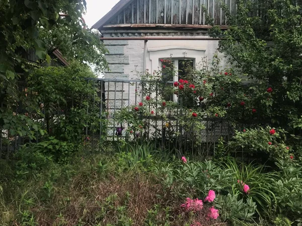 Vieille Maison Lumineuse Avec Une Clôture Planches Fleurs — Photo