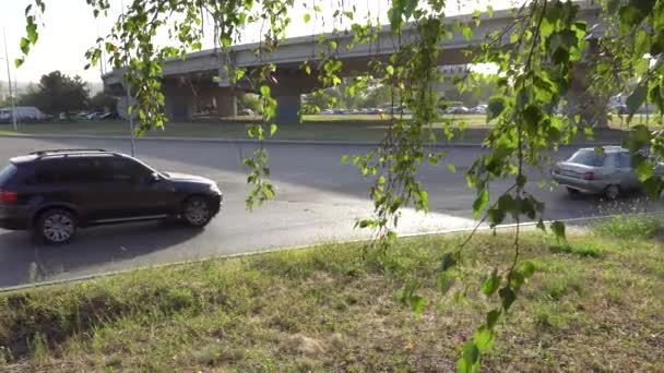 Автомобили быстро ездят один за другим по дороге возле моста рано утром ветки деревьев на переднем плане — стоковое видео
