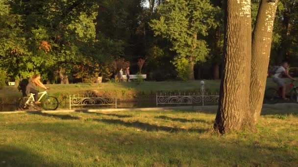 Im Stadtpark spazieren die Fans entlang der Wege am Ufer des Weihers, auch ein Mann und ein Mädchen fahren Fahrrad — Stockvideo