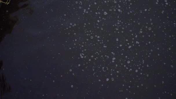 Achtergrond textuur van donker water ronde stieren — Stockvideo