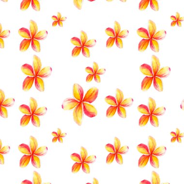 Tropikal plumeria çiçeği ile suluboya deseni, ambalaj kağıdı tasarımı, kuaför fiyat listesi tasarımı ve web tasarımı için uygun