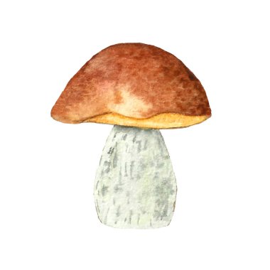 Ormanda suluboya tekniğinde sonbahar mantarı, mantar toplama.