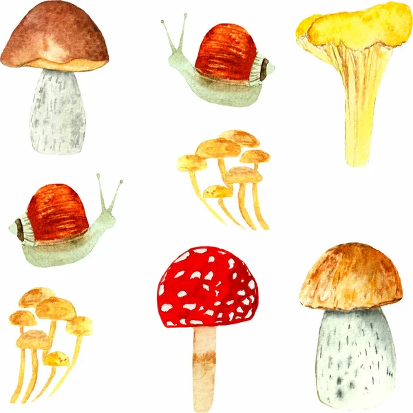 Осенью грибы и осенние листья в акварели — стоковое фото