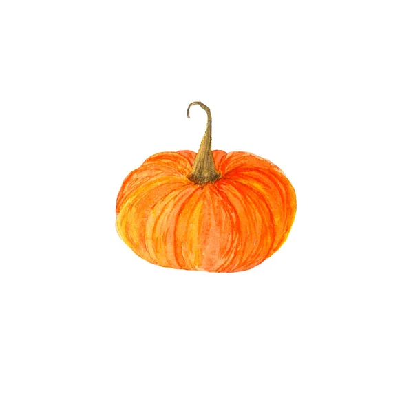 Watercolor autumn orange pumpkin small for thanksgiving — Stock Photo, Image