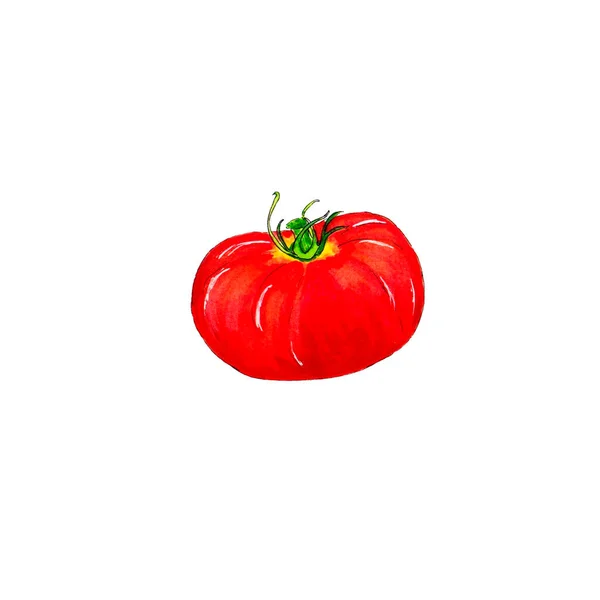 크고 빨간 토마토를 흰 배경에 놓고 따로 떨어진 신선 한 곡식, 채 식자용 식품에 얹는다. — 스톡 사진