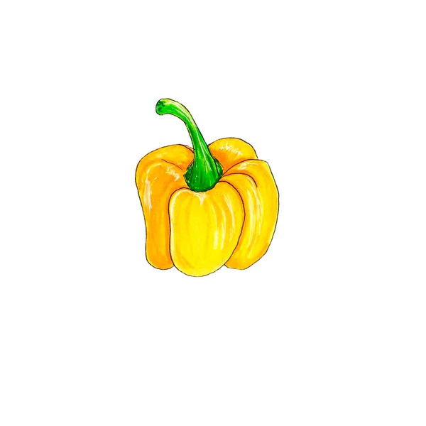 Спелые ярко-желтый перец колокольчик на белом фоне изолированы свежий урожай, вегетарианская еда. — стоковое фото
