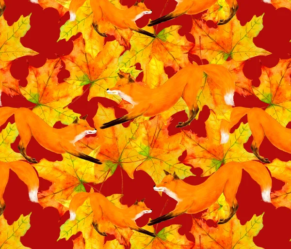 Modello carino volpe rossa su uno sfondo di foglie d'acero giallo — Foto Stock