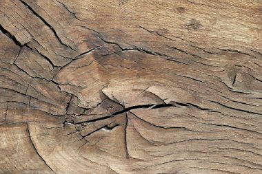 Ahşap desen ters grond yakın kahverengi renk