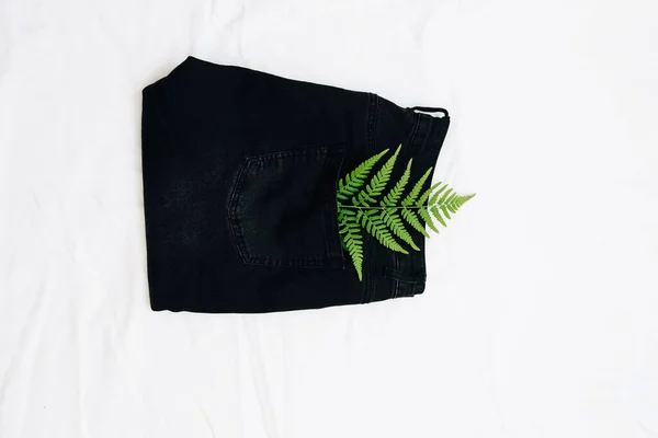 Yeşil Eğreltiotu Yaprağı Siyah Kot Pantolon Açık Arkaplan — Stok fotoğraf