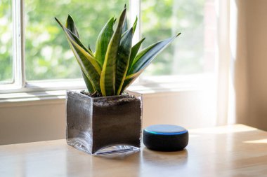 Amazon Echo Dot ve Alexa evde