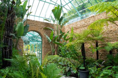 Bitkileri ve çiçekleri olan botanik serası