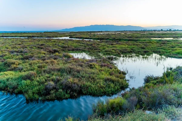 Solnedgång Över Bukten Våtmarker Avkopplande Bakgrund Fantastiskt Färgglatt Landskap Ebro — Stockfoto