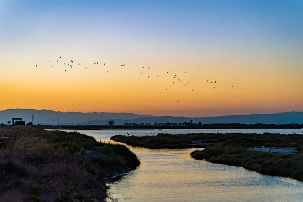 Pôr Sol Sobre Baía Terras Húmidas Fundo Relaxante Paisagem Colorida — Fotografia de Stock