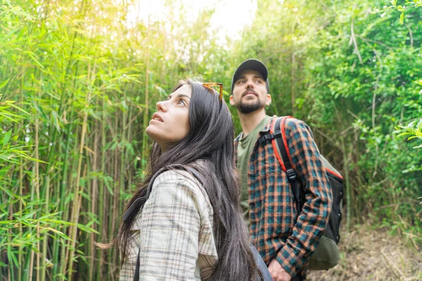 Young Happy Couple Travelers Hiking Backpacks Beautiful Forest Evening Family — Stock Photo, Image