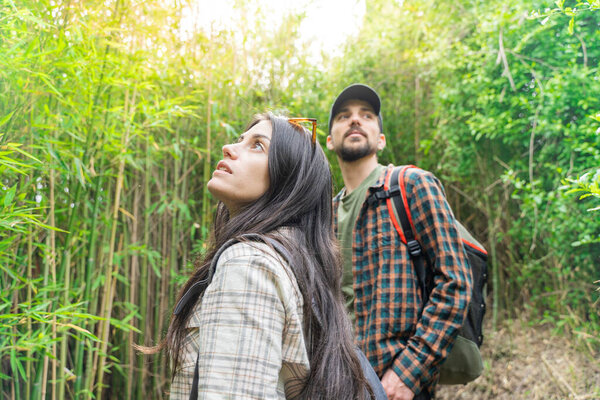 Young happy couple of travelers hiking with backpacks on a beautiful forest at evening. Family travel and adventure concept. Young people hiking in countryside. 