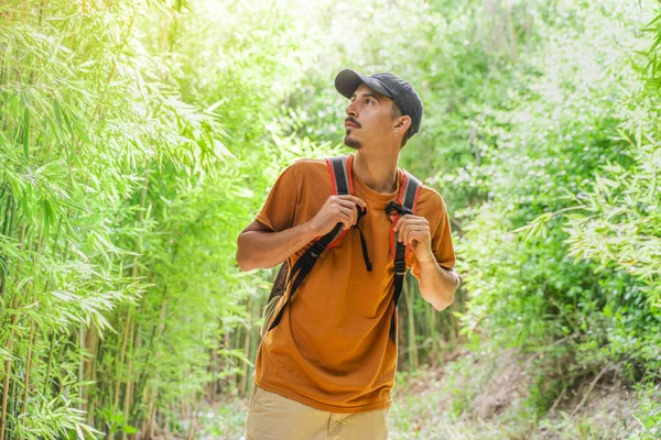 Young happy traveler hiking with backpack on a beautiful forest at evening. Travel and adventure concept. Young people hiking in countryside. Wild and freedom feeling.