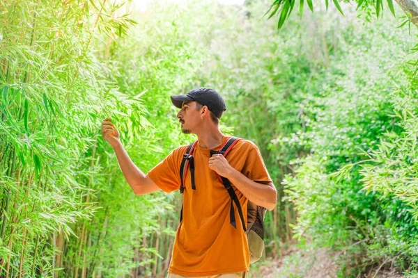 Young happy traveler hiking with backpack on a beautiful forest at evening. Travel and adventure concept. Young people hiking in countryside. Wild and freedom feeling.