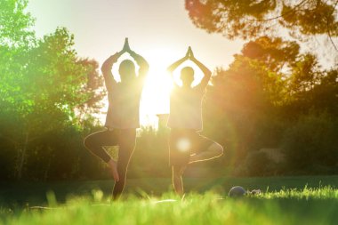 Genç çift sabah bahçelerinde yoga yapıyor. Nilüfer pozisyonunda güneş ışığı, namaste, spor kıyafetleri giyiyorlar.. 