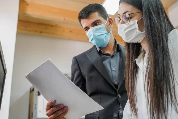 Business Workers Working Small Company Computers Small Company Working Doing — Stock Photo, Image